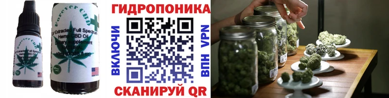 Cannafood конопля  наркотики  Ельня 