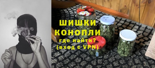 метадон Снежногорск