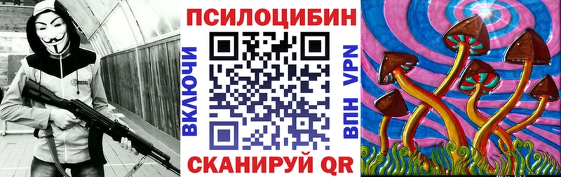 Галлюциногенные грибы мицелий  закладка  Ельня 